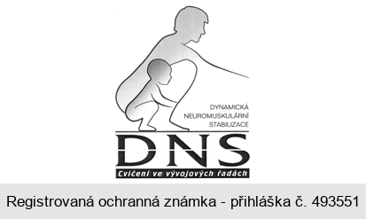 DYNAMICKÁ NEUROMUSKULÁRNÍ STABILIZACE DNS Cvičení ve vývojových řadách