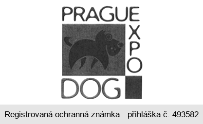 PRAGUE EXPO DOG