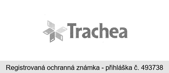 Trachea