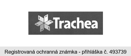 Trachea