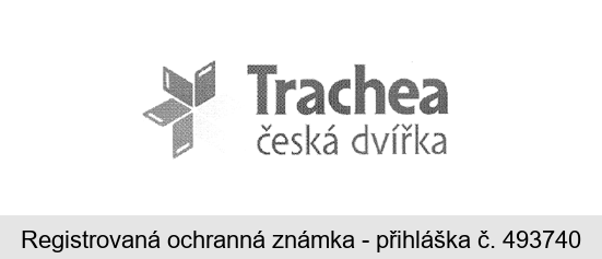 Trachea česká dvířka