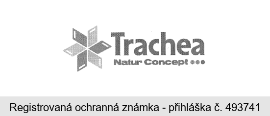 Trachea Natur Concept...