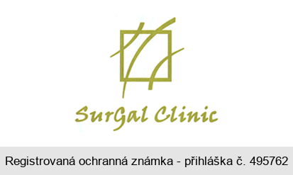 SurGal Clinic