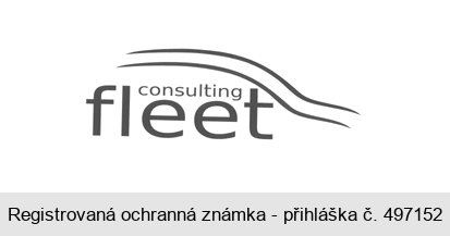 fleet consulting