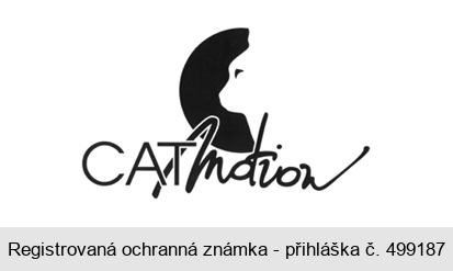 CATmotion