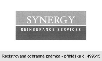 SYNERGY REINSURANCE SERVICES