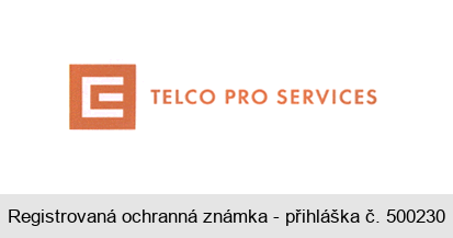 E TELCO PRO SERVICES