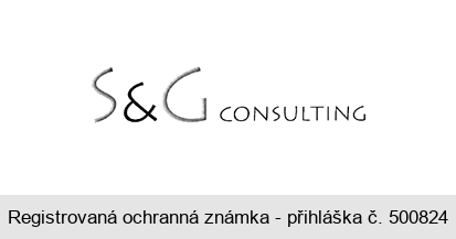 S & G CONSULTING