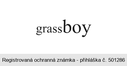 grassboy