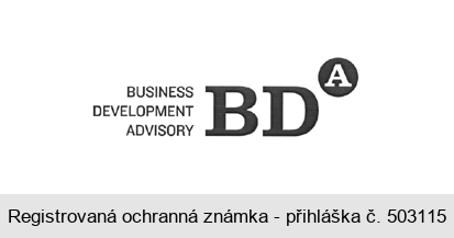 BUSINESS DEVELOPMENT ADVISORY BDA