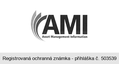 AMI Asset Management Information