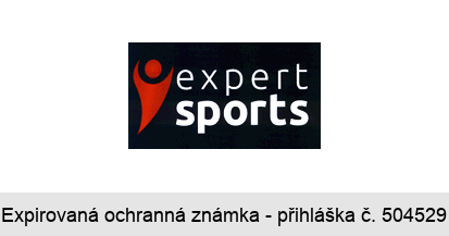 expert sports