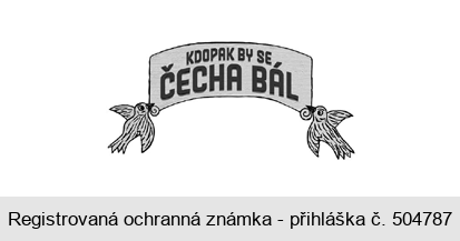 KDOPAK BY SE ČECHA BÁL