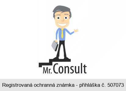 Mr.Consult