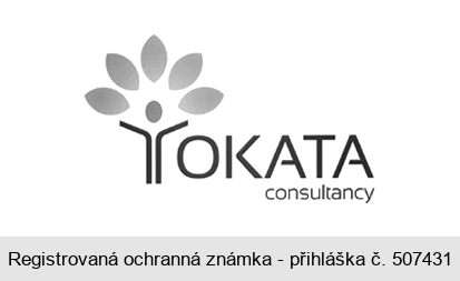 TOKATA consultancy