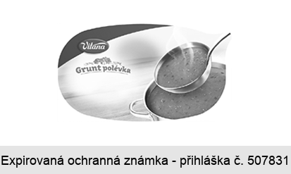 Grunt polévka Vitana