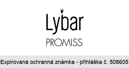 Lybar PROMISS