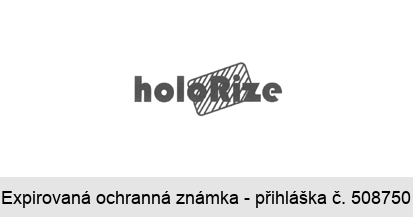holoRize