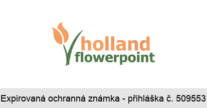 holland flowerpoint