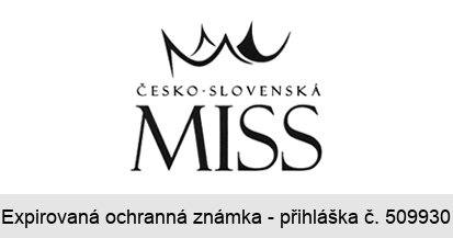 ČESKO - SLOVENSKÁ MISS