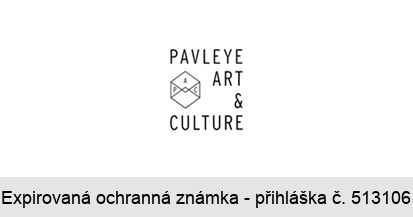PAVLEYE ART & CULTURE P A C