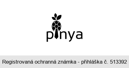 pinya