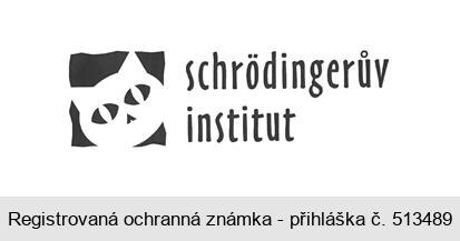 schrödingerův institut