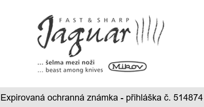Jaguar FAST & SHARP ...šelma mezi noži ... beast among knives Mikov