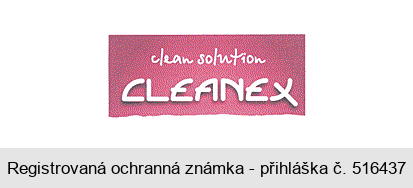 clean solution CLEANEX