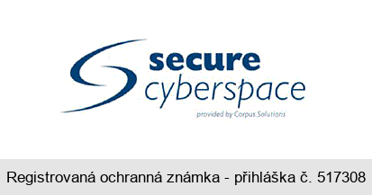 secure cyberspace provided by Corpus Solutions