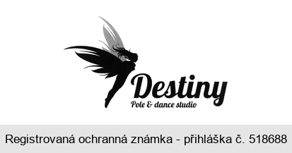 Destiny Pole & dance studio