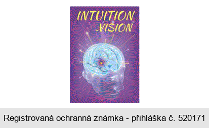 INTUITION VISION