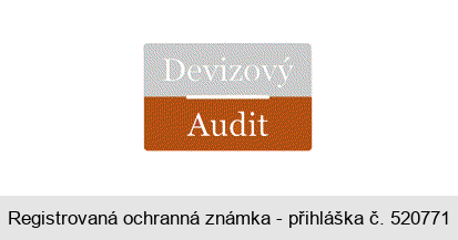 Devizový Audit