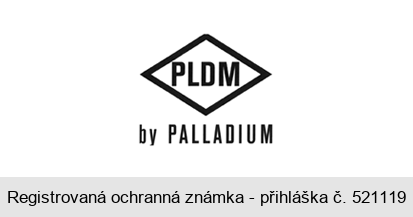 PLDM by PALLADIUM