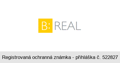 B: REAL