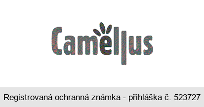 Camellus