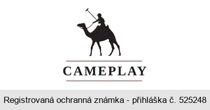 CAMEPLAY