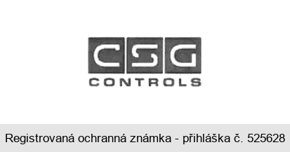 CSG CONTROLS