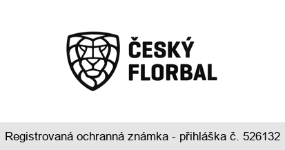 ČESKÝ FLORBAL