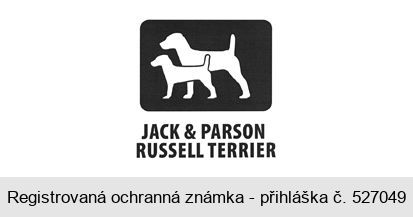 JACK & PARSON RUSSELL TERRIER