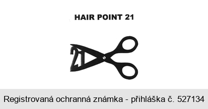 HAIR POINT 21