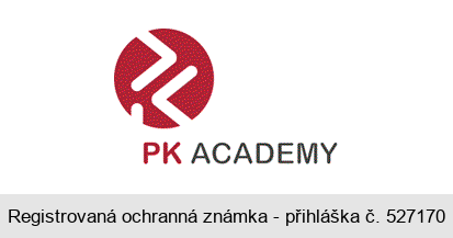 PK ACADEMY