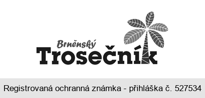 Brněnský Trosečník