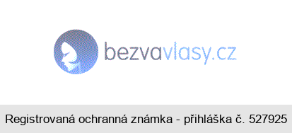 bezvavlasy.cz