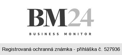 BM24 Business Monitor