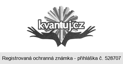 kvantuj.cz