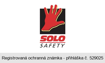 SOLO SAFETY