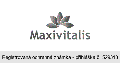 Maxivitalis