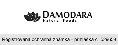 DAMODARA Natural Foods
