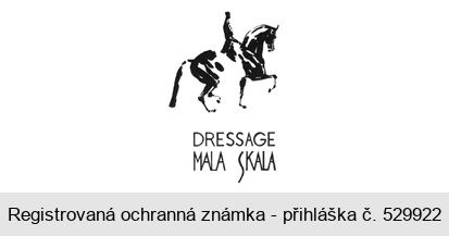 DRESSAGE MALA SKALA